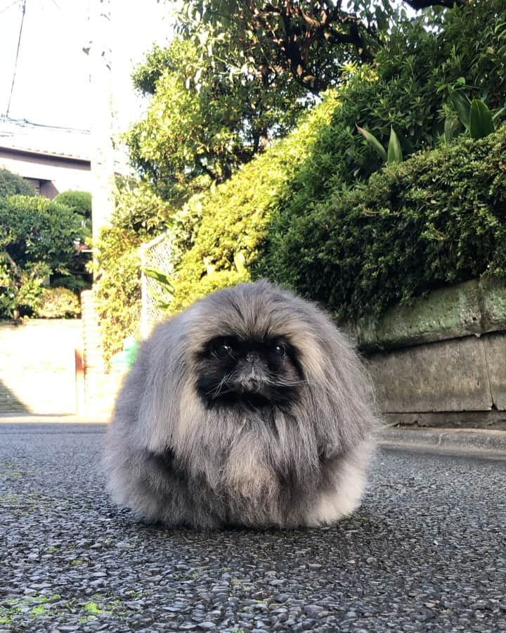 宮田和弥のインスタグラム