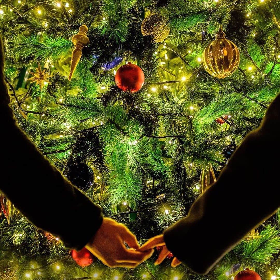 のインスタグラム：「* 12/3よりクリスマス特別ディナーご用意いたします  ルイガンズ.の大人気メニューを取り入れたスペシャルコース　8,000yen * ▶︎Appetizer | マンゴーセヴィーチェ  クリスマス風 ▶︎Pasta | ミートソース ボロネーゼ  雪山のように ▶︎Fish | オマールエビ と鮮魚のズッパディペッシェ ▶︎Meat | アンガス牛のロースト サルサ ヴェルデ ▶︎Dessert | クリスマススペシャルデザート —————————————————————————- プロポーズコンシェルジュが、オリジナルプロポーズのお手伝いもいたします —————————————————————————- ご予約 092-603-2590 ※内容は変更となる場合がございます #christmas #propose #christmasdinner #ルイガンズ #luigans #theluigans #福岡グルメ  #福岡クリスマスディナー #福岡ディナー」