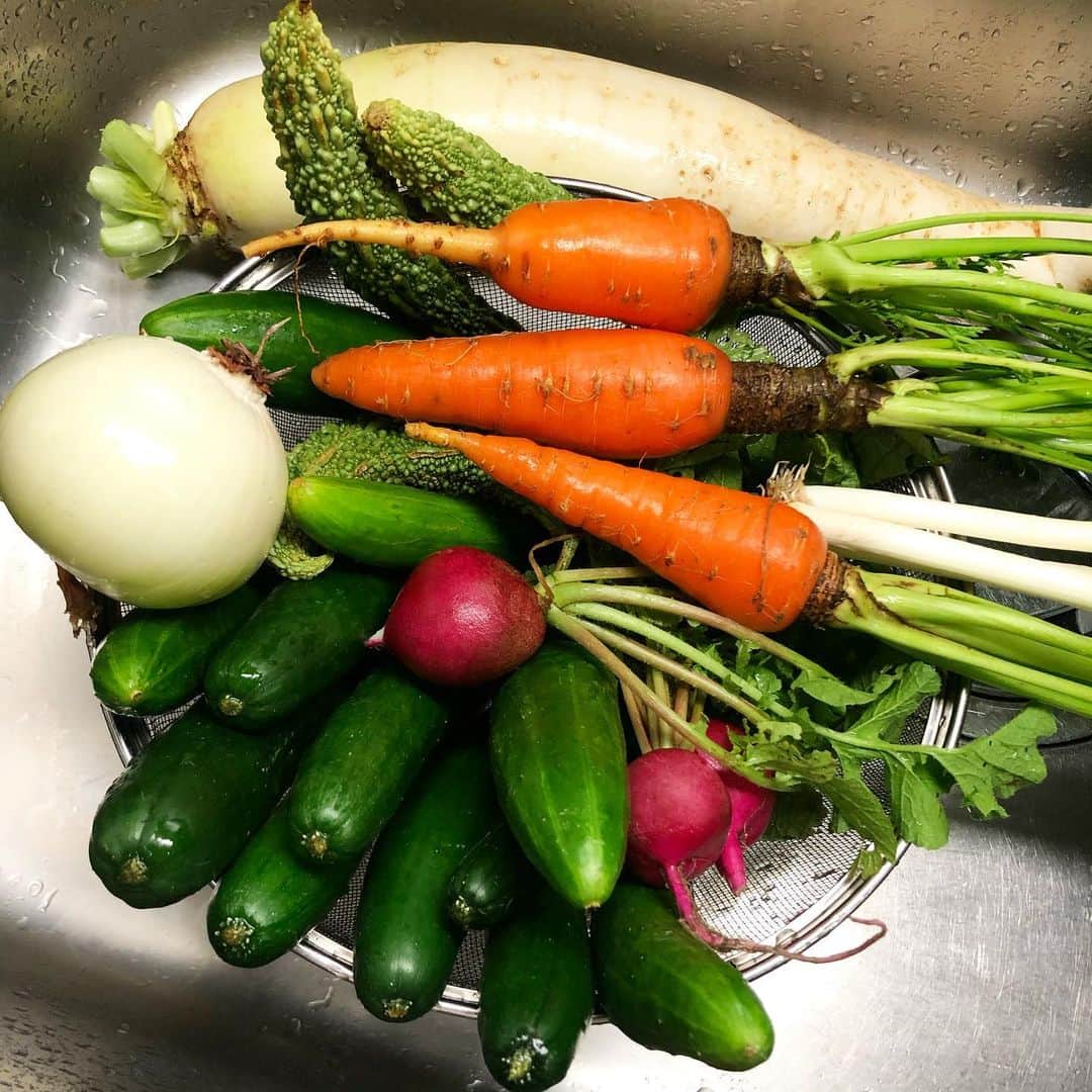 秋定麻紀子さんのインスタグラム写真 - (秋定麻紀子Instagram)「無農薬有機野菜届いた。 明日から海外出張なんで色々作って旅立とうと思います。 まぁ、今月毎週出張で来月ほとんどいないっていう。 なかなかハードな2019年末なんで、病気だけは勘弁。 テキトーに作った料理たちは @tekito_recipe にてUPします。 #無農薬野菜 #有機野菜」10月30日 9時59分 - makiakisada