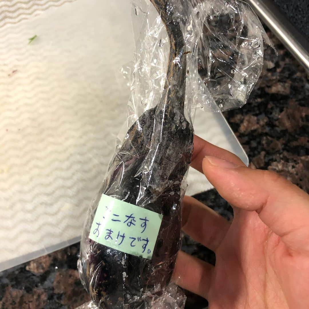 秋定麻紀子さんのインスタグラム写真 - (秋定麻紀子Instagram)「無農薬有機野菜届いた。 明日から海外出張なんで色々作って旅立とうと思います。 まぁ、今月毎週出張で来月ほとんどいないっていう。 なかなかハードな2019年末なんで、病気だけは勘弁。 テキトーに作った料理たちは @tekito_recipe にてUPします。 #無農薬野菜 #有機野菜」10月30日 9時59分 - makiakisada