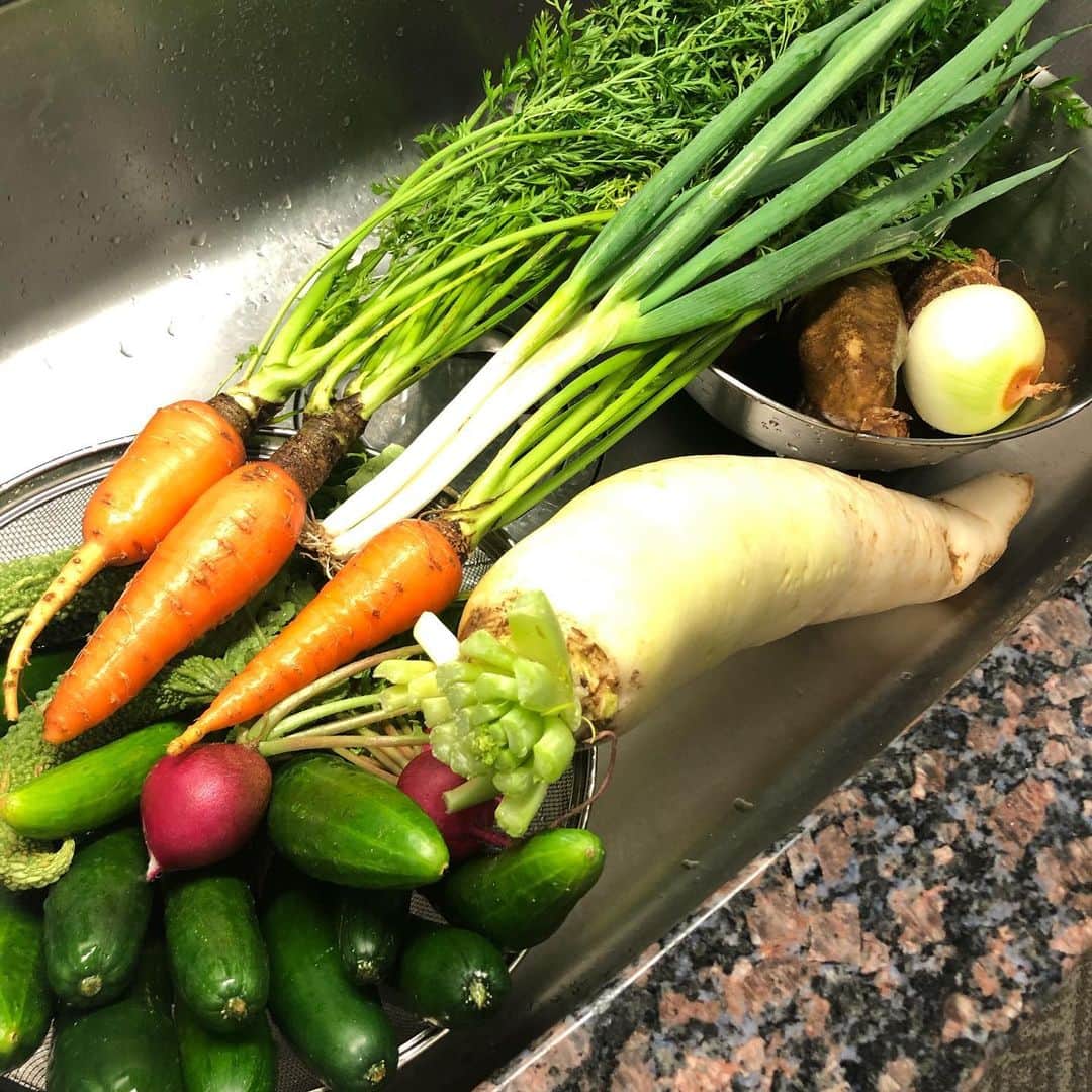 のインスタグラム：「無農薬有機野菜届いた。 明日から海外出張なんで色々作って旅立とうと思います。 まぁ、今月毎週出張で来月ほとんどいないっていう。 なかなかハードな2019年末なんで、病気だけは勘弁。 テキトーに作った料理たちは @tekito_recipe にてUPします。 #無農薬野菜 #有機野菜」