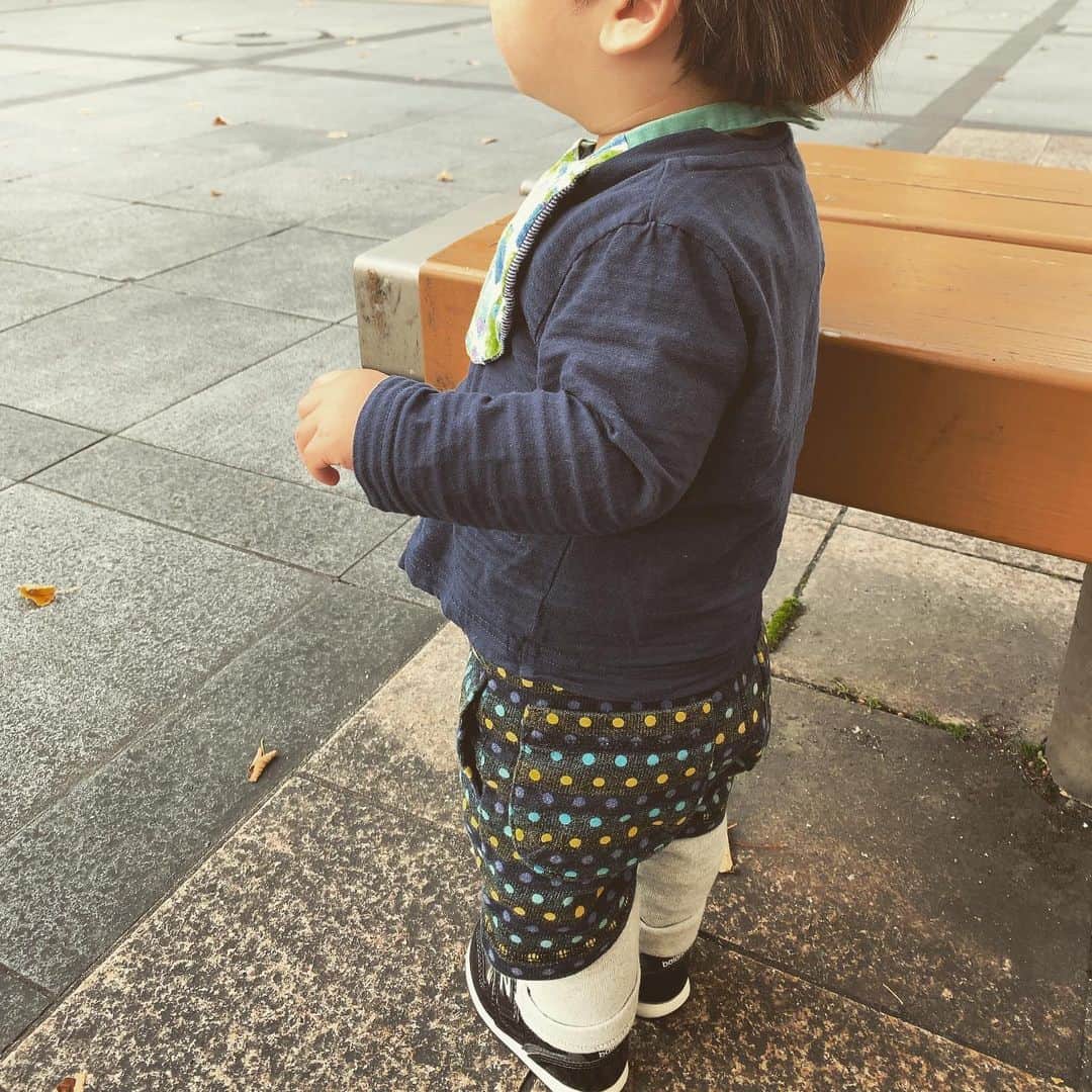 加藤千恵のインスタグラム：「ようやく一人で数歩歩くようになったんだけど、散歩させようとしたら、たたずんでいた。」