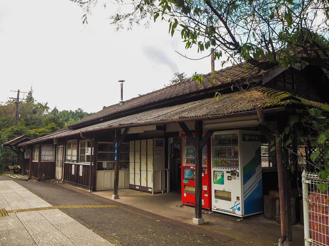 伊藤桃さんのインスタグラム写真 - (伊藤桃Instagram)「わたらせ渓谷鐵道オフショット♡ 神戸駅はレストランだけではなく駅も魅力✨ 何度か改築はされど、大正時代の開業当時の姿をとどめた木造駅舎がたまりません。しぶい。最高。 レストラン清流から跨線橋をわたり、下りホームにある駅舎にいってみました。 🛤 駅舎構内には、地元の農産物などが販売してあるスペース、はなももがありました。 そこには、日付を入れられる切符型のプレートも。 15時ごろには閉まってしまうみたいで、残念ながらもう人はいなく、日付も翌日のものになっていたのですが‥ 🛤 運良く、そこを管理している？地元の方が戻ってきて、 「せっかくならば、写真とっていきなさいよ☺️」とお声がけいただきました。 記念になりますよね♪ 1枚目の写真もそのプレートとぱちり📸 今度は営業時間にきたいなあ😊 🛤 6.7.8枚目: レストラン清流の周りをうろうろお散歩していたら、公園へ続く小道を発見！ 清流からあるいてすぐのところにこんな公園‥というより渡良瀬川を近くに臨めるスポットがあるのをご存知でしょうか。 少しずつ暮れ行く秋の午後の木洩れ陽とごうごうとながれる川の流れ。 ここをゆうちゃんとお散歩した時間がなんだか幸せだったな😊❤️ 🛤 9.10枚目: レストラン清流にはちゃんと線路も敷かれています。 ふたりではしゃぎながらスタンドバイミーごっこ。笑笑 さてはてわたらせ渓谷鐵道のたびもいよいよ終盤！ もう少しお付き合いくださいね♡ つづく(^○^) 🛤 #わたらせ渓谷鐵道 #わたらせ渓谷鐵道神戸駅  #ローカル線の駅  #昭和レトロ  #木造駅舎」10月30日 14時01分 - itomomo_tetsu