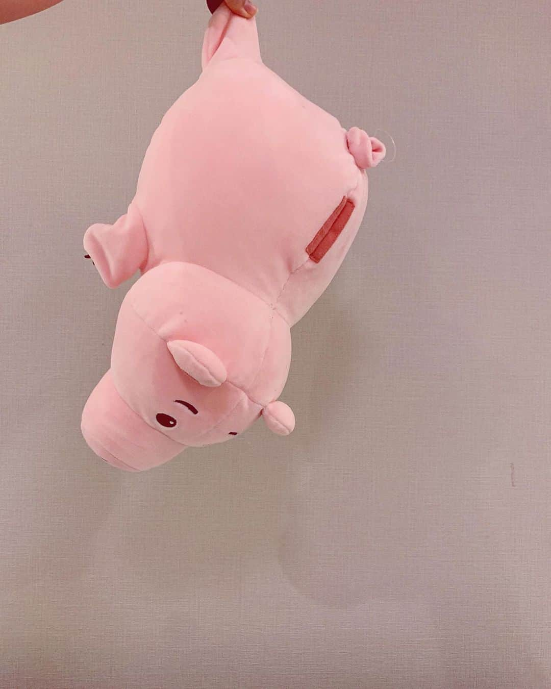 鷹野日南さんのインスタグラム写真 - (鷹野日南Instagram)「ぶたのまるやき　🐷」10月30日 14時31分 - hinachan.3