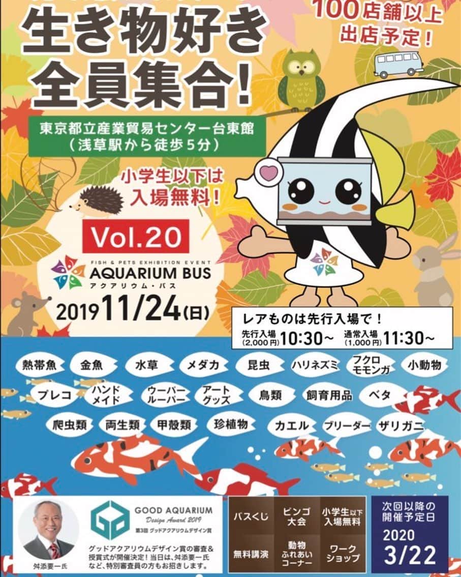 高松雪乃さんのインスタグラム写真 - (高松雪乃Instagram)「‪2019年11月24日(日)‬ ‪アクアリウムバスに出演させていただきます！‬ ‪http://aquariumbus.com/what.html‬」10月30日 14時47分 - yukinotakamatsu