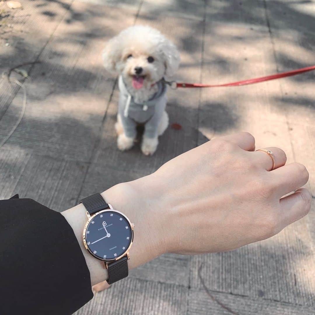 mizuのインスタグラム：「@4bwatches_japan さまから素敵な時計が届きました。 オールブラックで少し小さめなところがお気に入りです♡ . . クーポンコード【micch1021】 ご使用で10パーセントオフになります。 (クーポン使用期限は10/21より1年間) . #4bwatches #腕時計 #時計 #4B . #lotta_lotta #dogstagram #toypoodle #teacuppoodle  #トイプードル #ティーカッププードル #わんこ #犬との暮らし #わんこのいる生活」