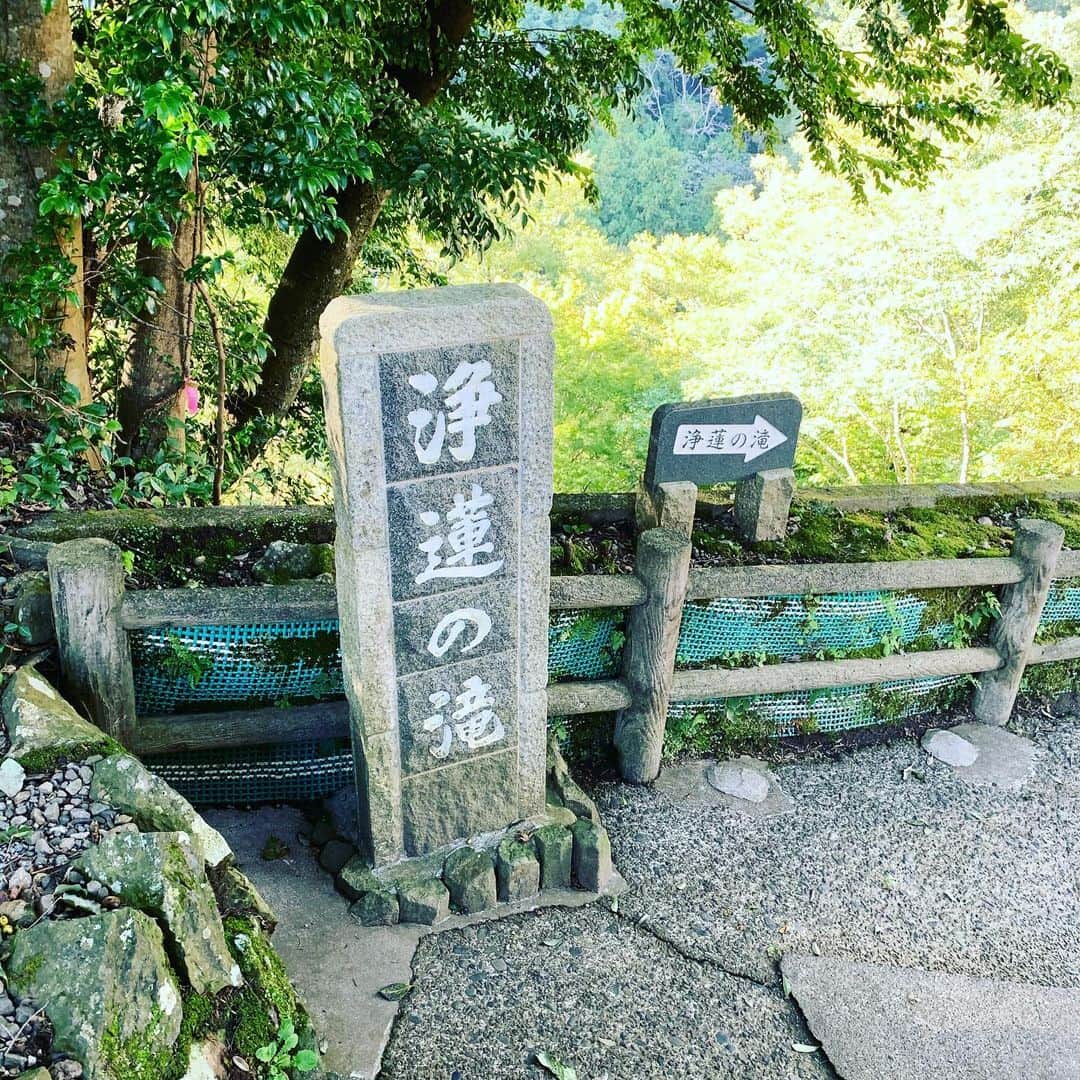 金村義明のグルメインスタ