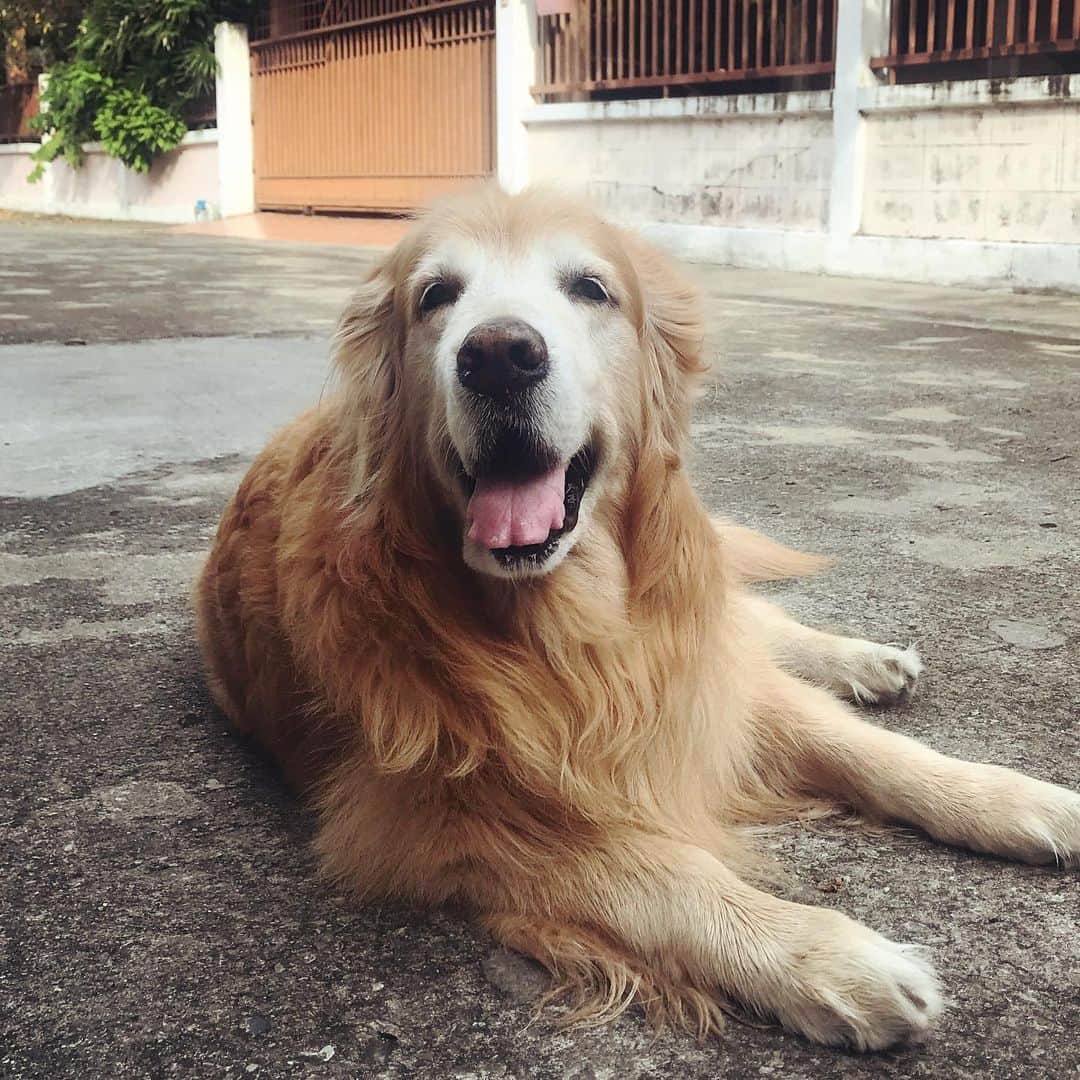 Hoykong&Plamuekのインスタグラム：「Have a great day everyone! Keep smiling! 😊 #hkpm」