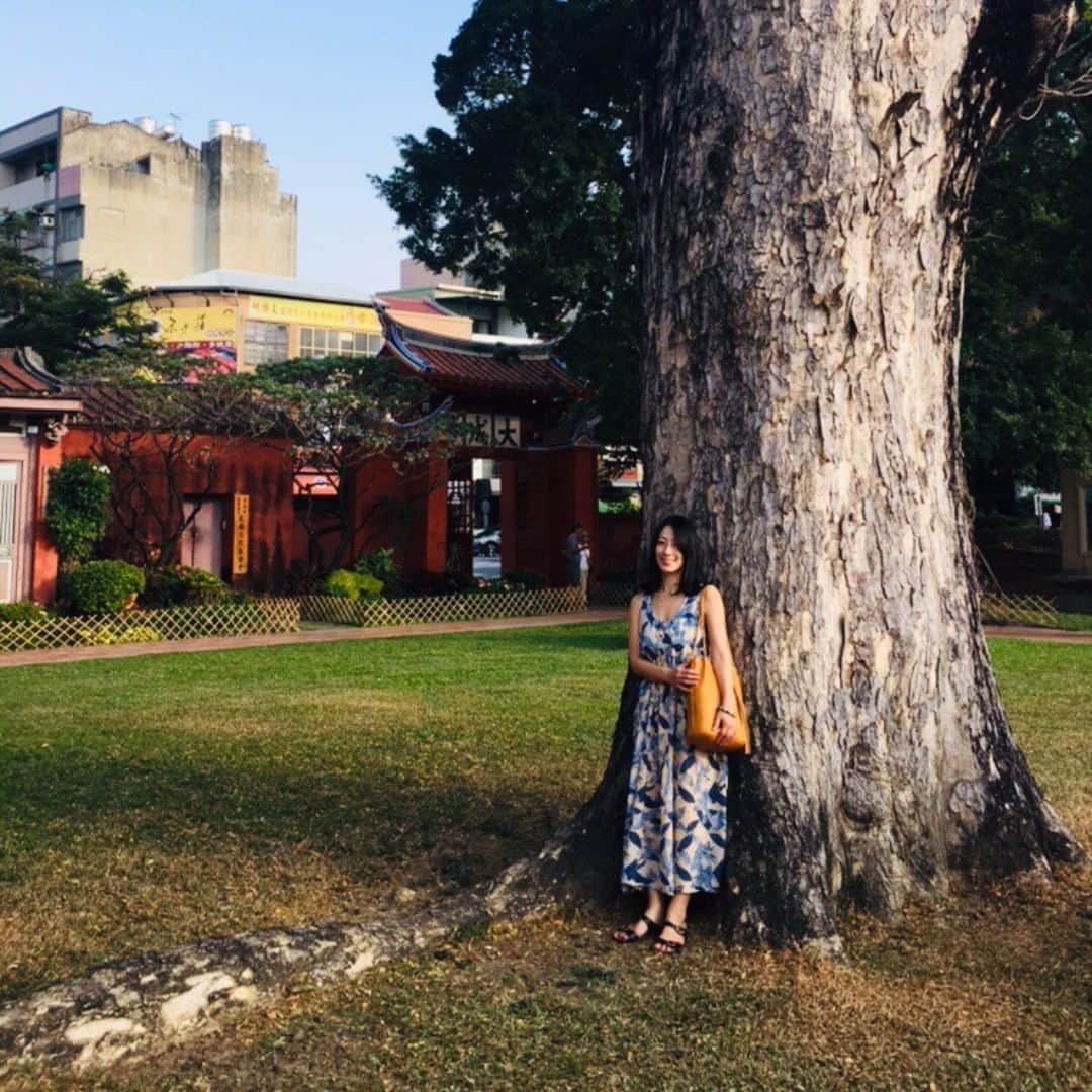 佐藤寛子さんのインスタグラム写真 - (佐藤寛子Instagram)「孔子廟のでっかい木に背中くっつけて喜んでる、、わて。  リスもたんまり走り回っていたよ。  孔子廟は工事中だったよ。  #台湾#台南#孔子廟#工事中#taiwan#travel#木」10月30日 17時30分 - memeco.s