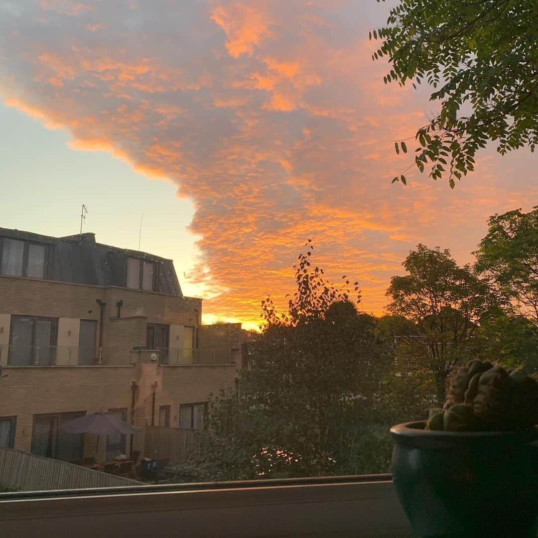 のインスタグラム：「Time for another London appreciation post... this place is incredible (this is the view out my window this morning).」