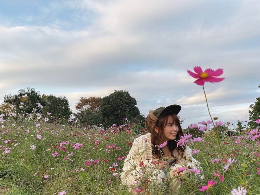 西村歩乃果さんのインスタグラム写真 - (西村歩乃果Instagram)「#秋桜」10月30日 18時33分 - honoka.n28