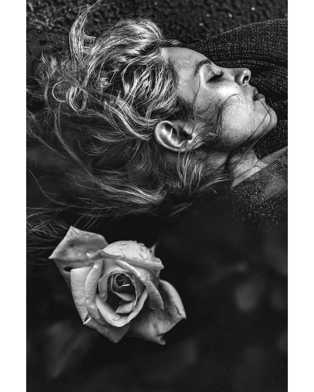 mr007のインスタグラム：「Roses in October Rain ►  feat. @silverstravelblog」