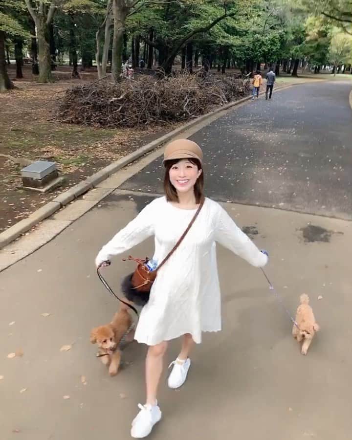 のインスタグラム：「・ お散歩〜🐶💕💕るんっ #coordinate one-piece#mercuryduo @mercuryduo_com  shoes#louisvuitton @louisvuitton  bag#carvingtribes @carvingtribes  hat#drwcys @drwcys_official  #sサイズコーデ  #153cmコーデ #おちびコーデ #おちびの輪 #マタニティコーデ #妊婦コーデ #お散歩コーデ #カルピス #カルピスらぶ」