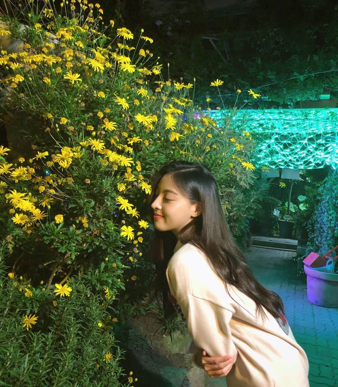 へウォン さんのインスタグラム写真 - (へウォン Instagram)「누가 꽃일까? 응 누가봐도 노란게 꽃😃」10月30日 19時19分 - minharam_