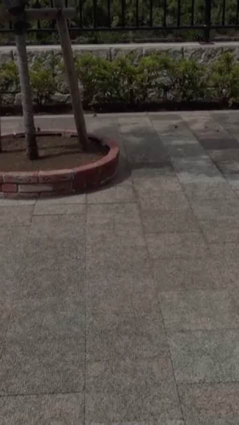 のインスタグラム：「@mdc19_miss_1  @mdc19_mr_1」