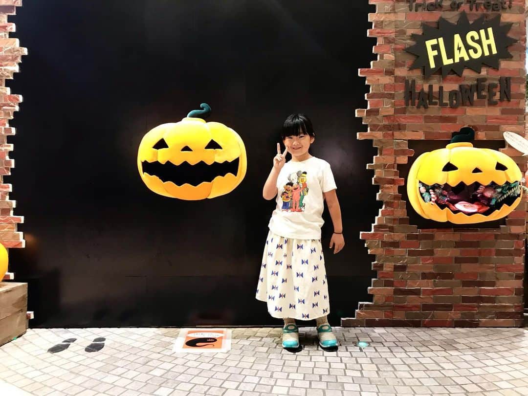 omatsuriccoのインスタグラム：「#今日のドルジ 2019.10.30 ・ あっという間に10月が終わる〜！ 明日はハロウィンだね🎃 我が家は何もやる予定はない！ みんな楽しんで〜🤟 ・ 来月はついに七五三👘 髪飾りが未だに決められてないです・・・悩む・・・ ・ #七五三 #ハロウィン #七五三7歳  #七五三髪型」