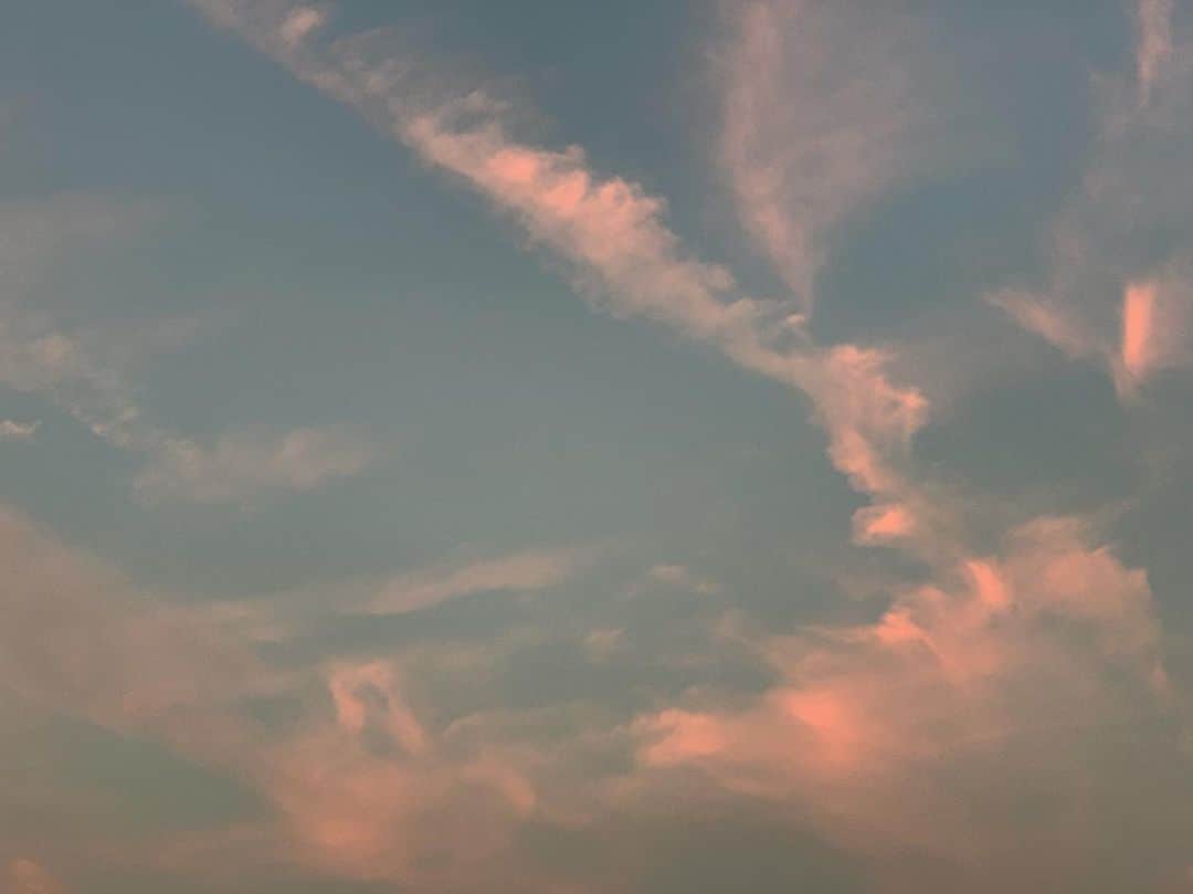 佐生雪さんのインスタグラム写真 - (佐生雪Instagram)「Like a wing.」10月30日 19時37分 - yuki_sasou