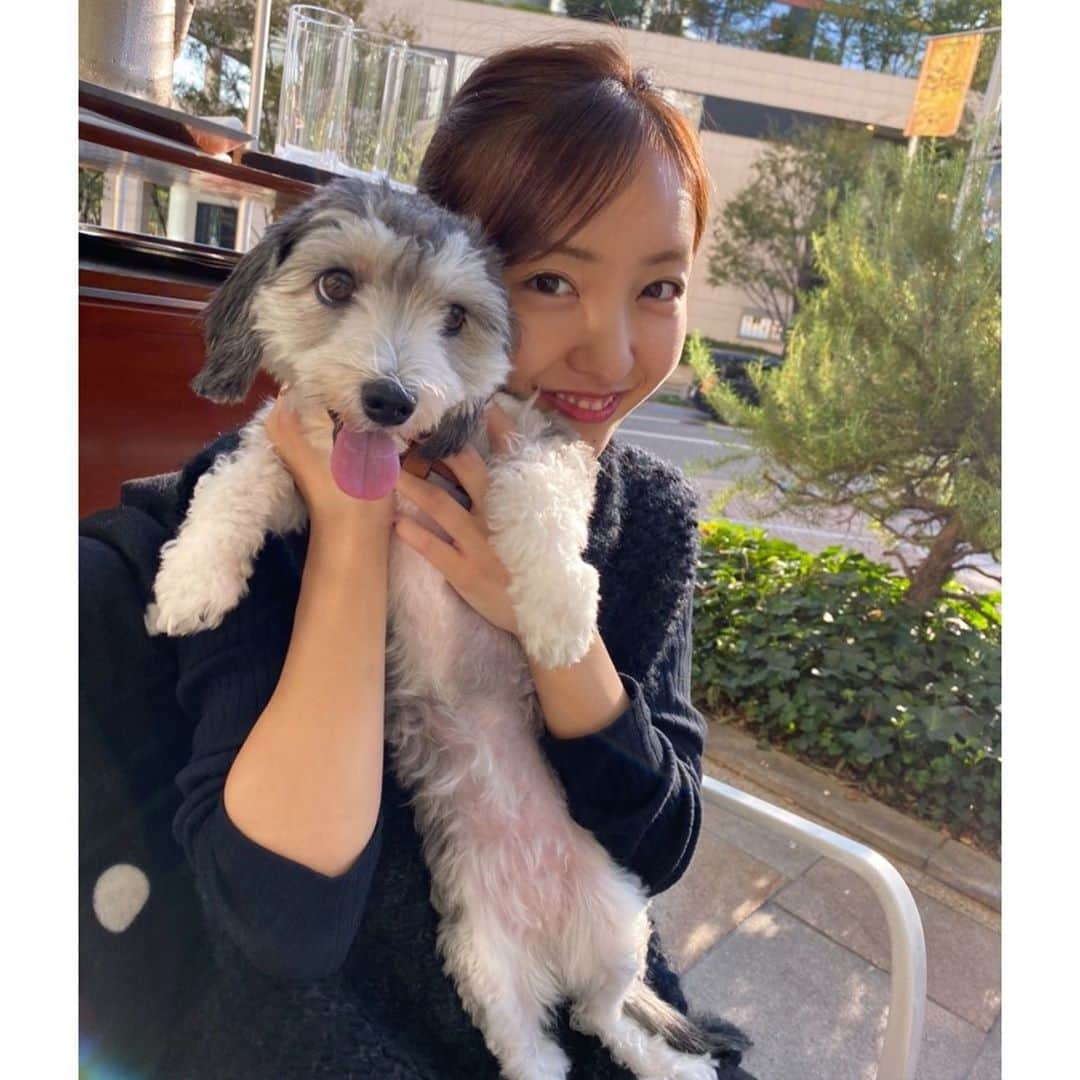 板野友美さんのインスタグラム写真 - (板野友美Instagram)「最近犬づいてる毎日🌿 今日寒いと思って厚着したら とっても陽射しが強くて温かった☀️ . . .  皆さまは、どんな1日でしたか？ これからラジオでます¨̮⑅* . .  photo by @blackstone705」10月30日 19時39分 - tomo.i_0703