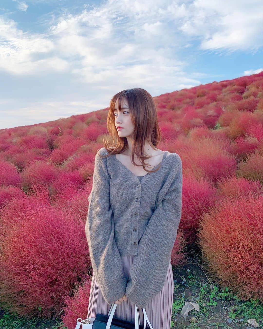 三田寺円のインスタグラム：「コキア🍁🍂 もふもふで可愛い🥰🥰 お天気良くて嬉しい💗 . #コキア #ひたち海浜公園」