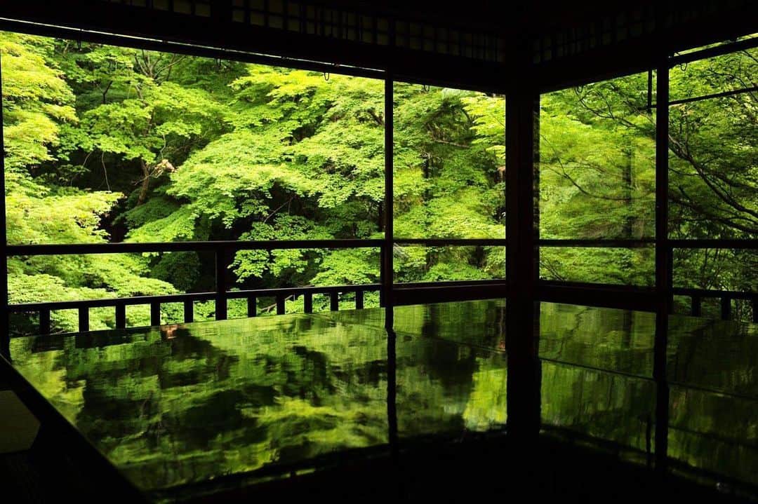 大杉隼平さんのインスタグラム写真 - (大杉隼平Instagram)「Park Hyatt Kyoto（パークハイアット京都）の撮影で毎月京都を訪れ、そこに関わる方々と出会えた時間は自分にとって忘れる事のない大切なものです。  遂に開業です。カードキーなどにも写真を使って頂いております。  パークハイアット京都を訪れた皆様が素晴らしい京都での時間を過ごせる事を心から願っております。  そしてまた美しい京都を写しに行きたいと思います。  パークハイアット京都の撮影を通じて出会えた方、支えて下さった方に心からの感謝を伝えたいと思います。本当にありがとうございます。  #写真 #ホテル #パークハイアット京都 #京都 #四季 #photography #hotel #parkhyattkyoto #kyoto #japan #season #大杉隼平 #shumpeiohsugi #shumpeiohsugi_photographer」10月30日 20時27分 - shumpeiohsugi_photographer