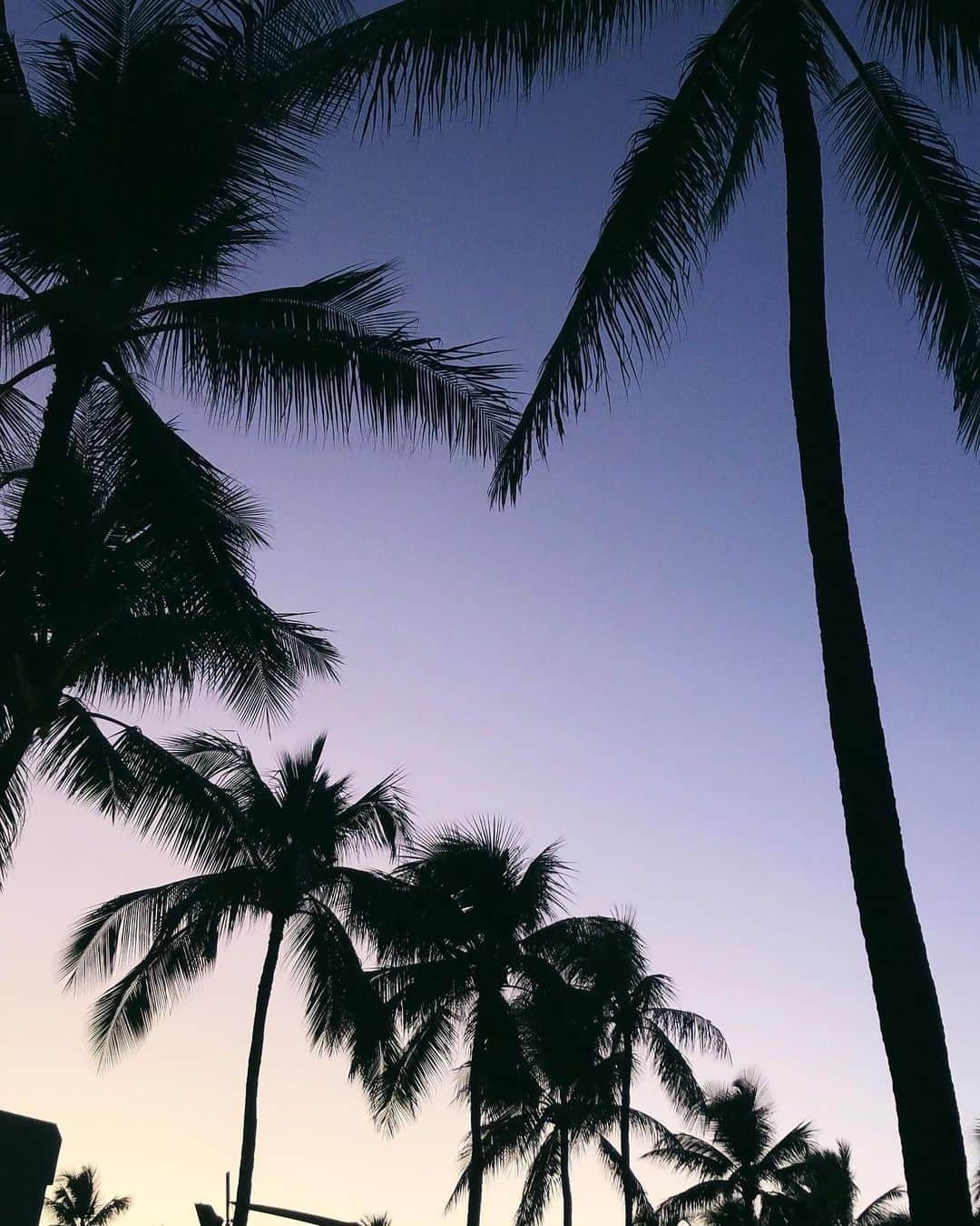 丹羽仁希さんのインスタグラム写真 - (丹羽仁希Instagram)「じつはロスの帰り1日半だけ 1人ハワイしてきた〜さいこうだ。🌴」10月30日 20時41分 - __niki22
