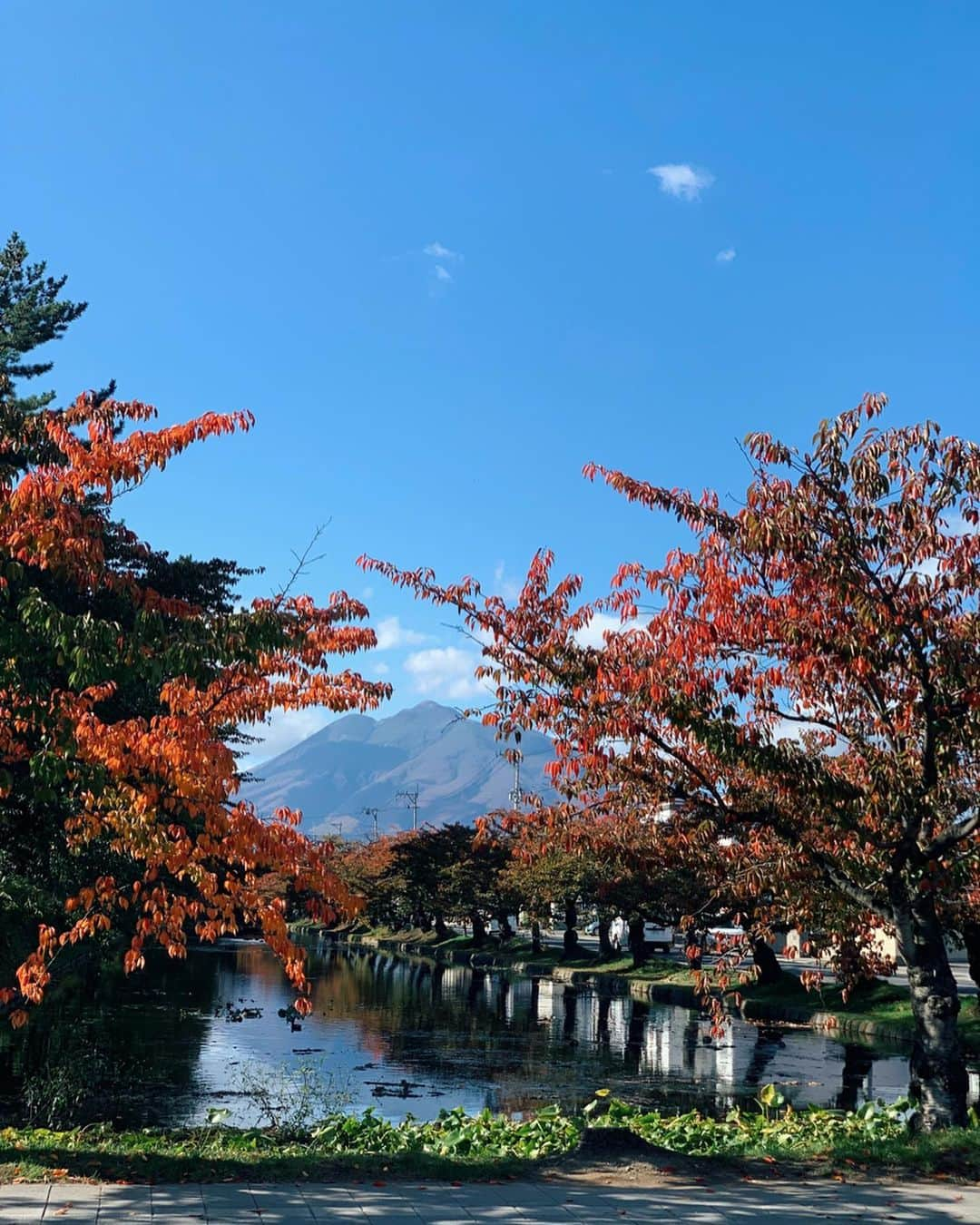 MOYAさんのインスタグラム写真 - (MOYAInstagram)「3日間青森に行ってきました😌 青森県のSNSアドバイザーに 就任させていただいて今年2回目の青森🚄 温かく迎えてくださる青森県の方々 今回も大変お世話になりました😊 1枚目の写真は全部青森のお土産なの！ 青森県のお土産は美味しいものがかなり多いです🔥 今回もたくさんお土産買って帰りました😌 そしてデザインもモダンなものが多くて お土産で送りたいものが沢山あります💓 今回はテーブルコーディネート術を レクチャーさせていただきましたが 皆さん楽しそうに写真撮ってて嬉しかった✨ また来年も行きます☃️ありがとうございました🤲 . #aomori_kawaii  #青森土産 #青森県 #青森 #aomori #青森食ジェニック女子会」10月30日 20時48分 - moyamoya2121