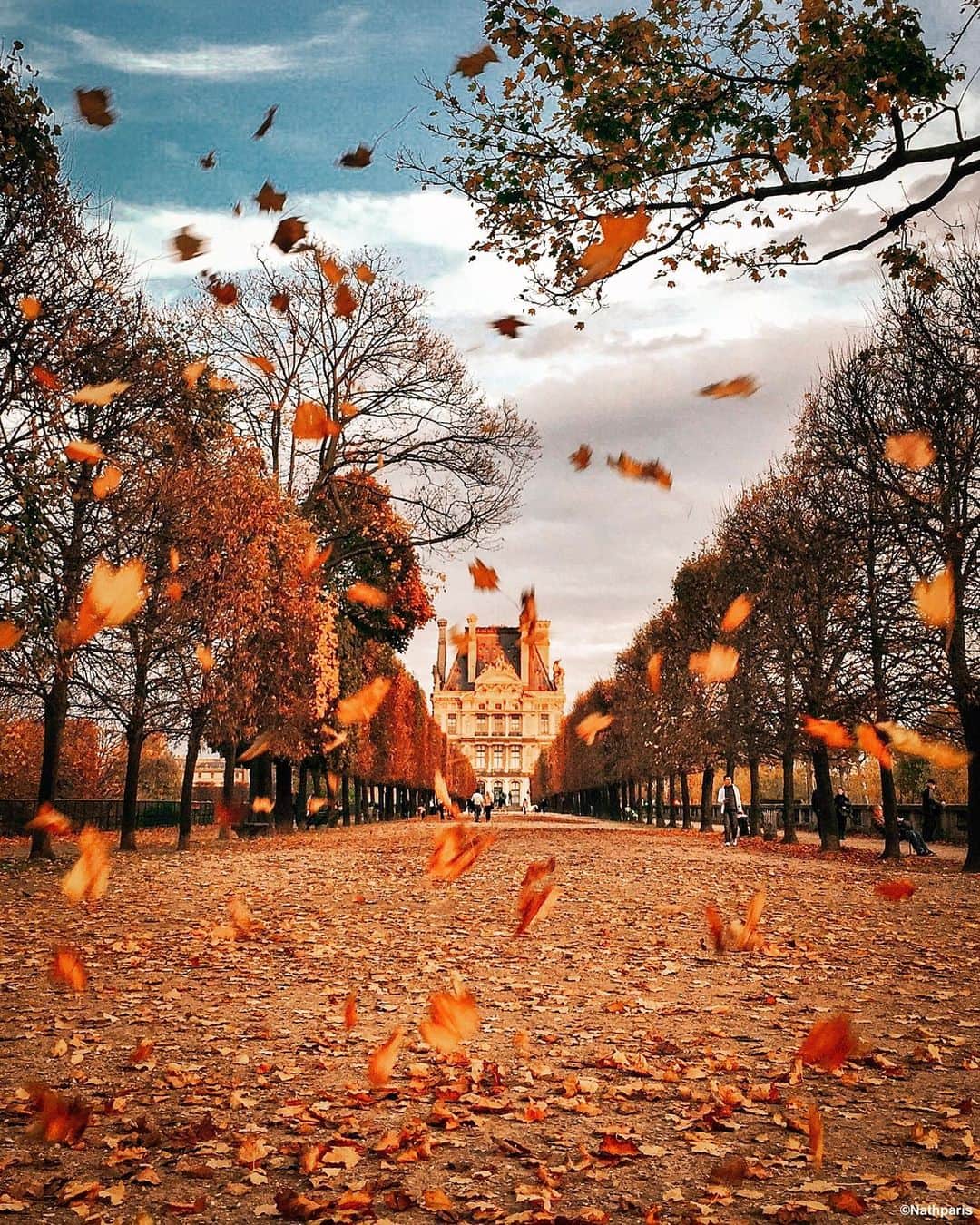 nathparisのインスタグラム：「Colorful autumn 🍂 #paris」