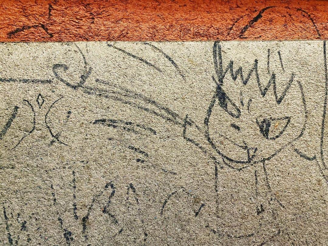 中畑大樹のグルメインスタ