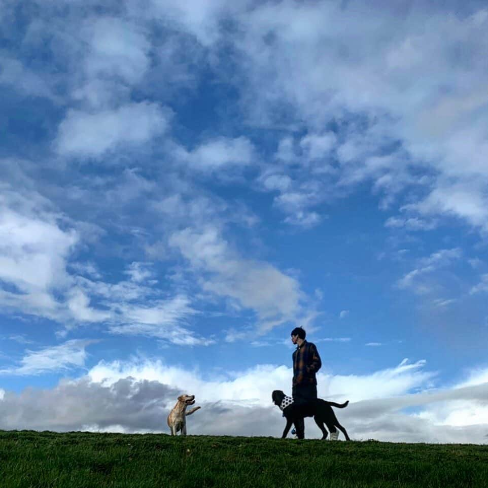 原口元気さんのインスタグラム写真 - (原口元気Instagram)「ドイツの空。 広くて、美しい。  #ドイツ#Germany #青空」10月30日 23時29分 - haraguchi_genki_official