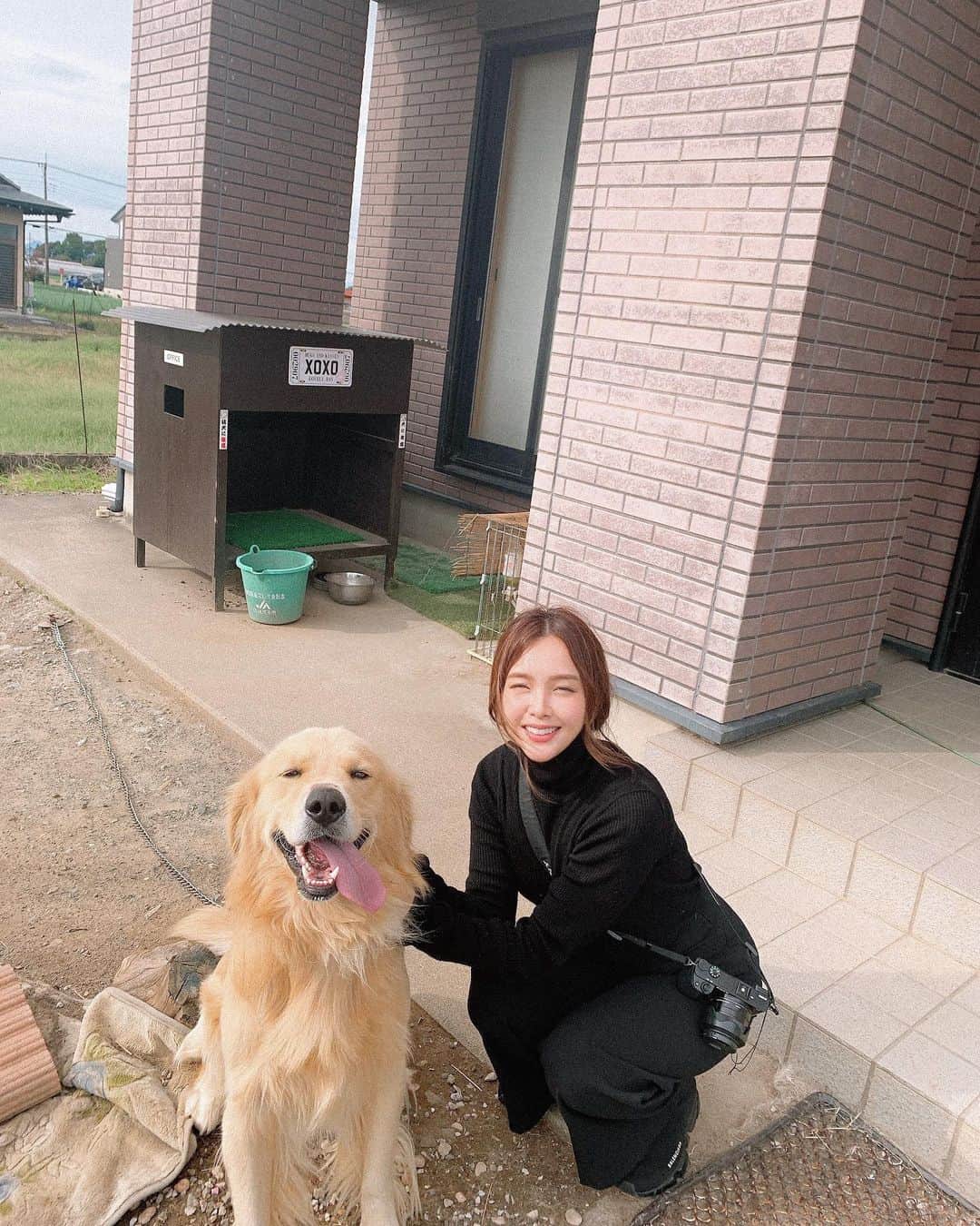 Lilmeのインスタグラム：「I am glad that you have become a member of the family🐶❤️私の弟が増えた👶🏼✨﻿ これからよろしくね！！ちゃちゃまる🦋🌙﻿ ﻿  #ちゃちゃまる#ゴールデンレトリバー#いぬすたぐらむ」