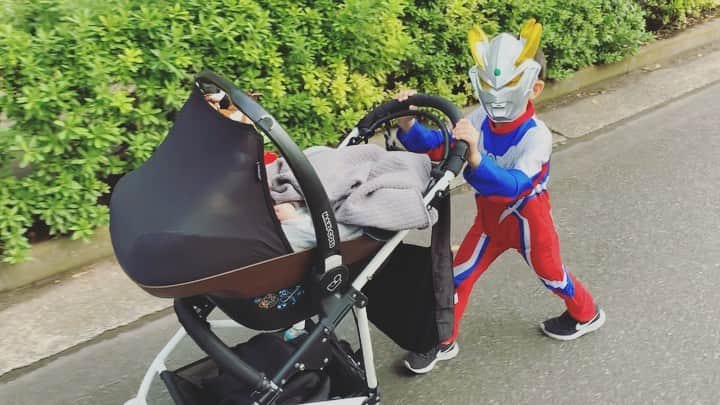 高見まなみのインスタグラム：「まさかの3年連続ウルトラマンゼロ😂 私はもう見飽きたけど、、 3歳からずっと好きって、すごいね。  #まさかのウルトラマンゼロをサイズアップ #最高におバカでいとおしい5歳児 #仮装で登園の日 #目立つ登園スタイル #3度見ぐらいされた #たいちゃんはトトロ #5歳5ヶ月 #0歳3ヶ月」