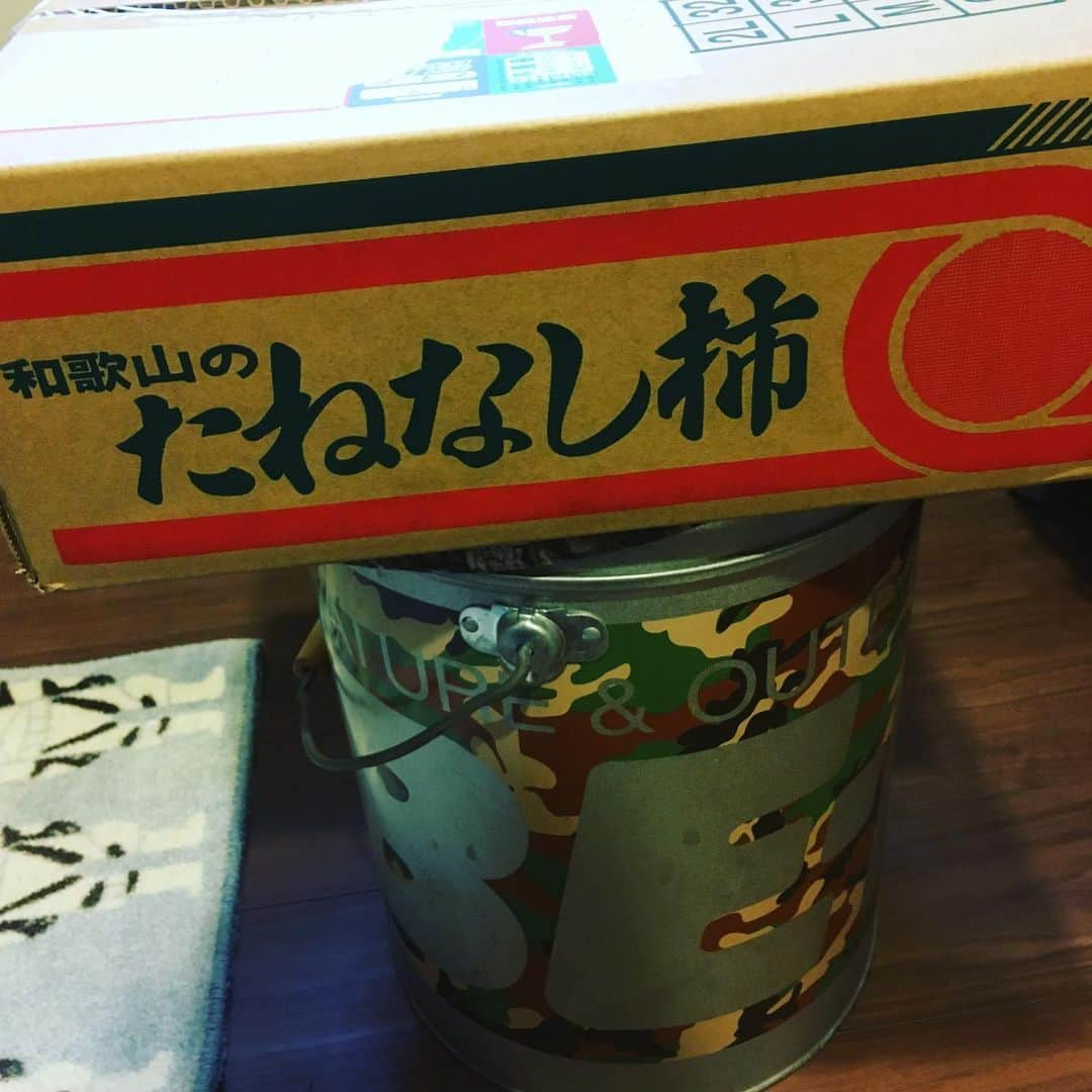 中島ヒロトさんのインスタグラム写真 - (中島ヒロトInstagram)「たねなし柿。  オレンジ池田社長から、柿を送って頂きました。先週末キャンプしにかつらぎ町に行った時、いっぱい実ってるの見たなー。嬉しいです。いつもありがとうございます。  #オレンジかつらぎ店  #camplay  #workdaysbecameplaydays」10月31日 9時54分 - djhirotonakajima