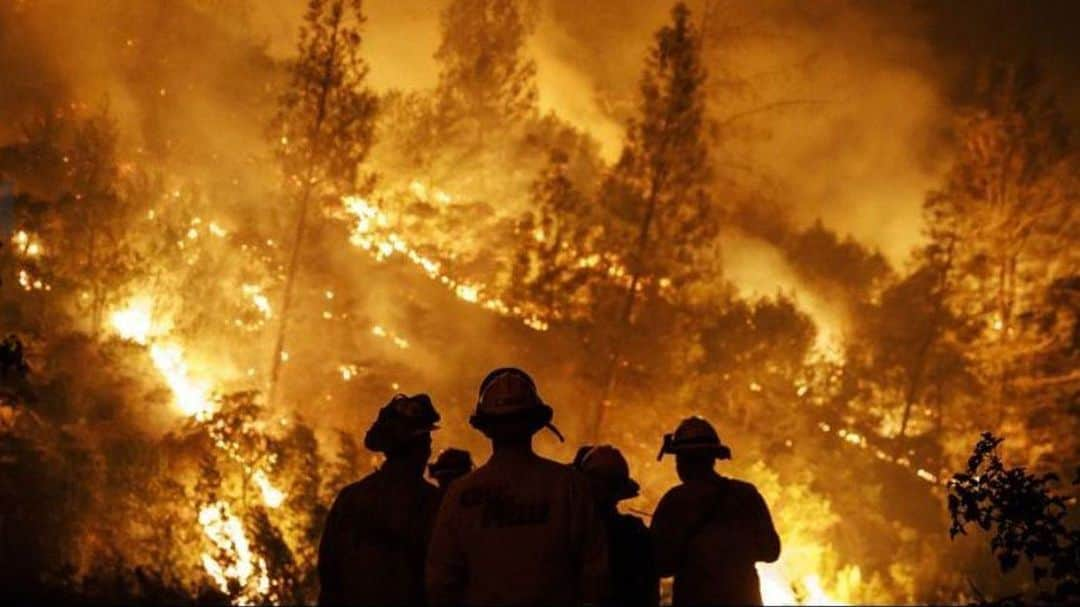 アダム・サンドラーさんのインスタグラム写真 - (アダム・サンドラーInstagram)「Thanks to all firefighters making sure we are all safe. Incredible work.」10月31日 10時15分 - adamsandler