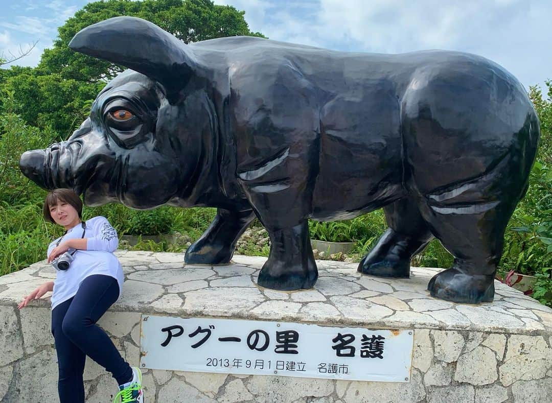 紺野栞さんのインスタグラム写真 - (紺野栞Instagram)「. 撮影が終わって東京🗼に 戻ってきました〜〜！！！！ . Q.撮影場所はどこだったでしょうか？ A.いや、誰がアグー豚や。 . オフショットもオフムービーも たくさん撮ってきたので YouTubeにあげたり？😏 TikTokにあげたり？😏 Twitterインスタにあげたり？😏 ラジバンダリーするのでお楽しみに〜！ . . . #グラビア #gravure #그라비아  #일본 #sexy #섹시 #japanesegirl  #japan  #love #followme #sexy  #swimwear #水着 #likeforlikes  #グラドル #グラビアアイドル」10月31日 10時24分 - shiooo1023