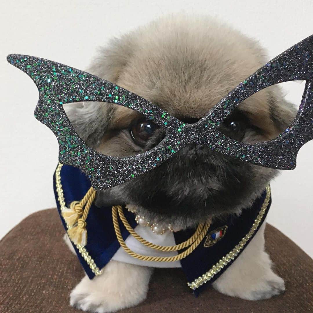 のインスタグラム：「#hello  #helloween  #ハロウィン仮装  #trickortreat ※ でっかい、トンボ眼鏡みたいので、コスプレしたよー🤓🥳 ストーリーにものせましたが、こちらにもという声がありましたので、同じだけど投稿しちゃった😂🎃ありがと😍【動画音楽規制で、削除されました😞】 Trick or Treat🎃🎃🥳🥳」