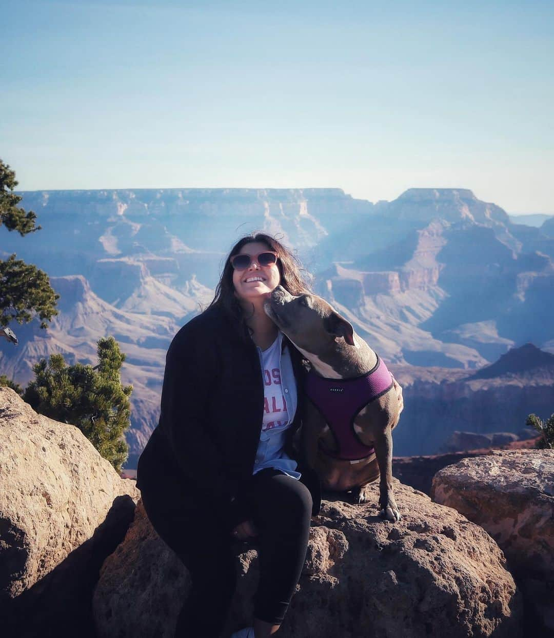 ロッコさんのインスタグラム写真 - (ロッコInstagram)「Two years ago today we brought Niko home after an amazing road trip to pick her up in Salt Lake City. There hasn’t been a day that we’ve regretted that decision. She’ always had our hearts going pittie patter but watching her evolve into a caretaker for Rocco was incredible and a true testament of just how loving pitbulls are. I mean she puts up with Weldon’s shenanigans, mic drop right?! 😉 . . . #ohmyweldon #pug #puglife #pugstagram #pugsofinstagram #dogsofinstagram #weeklyfluff #theweekoninstagram #austindogs #dogsofbark #giftfromgoogle #teampixel #atx #buzzfeedanimals #speakpug #pitbulllove #pitbulls #pitbullsofinstagram #pitbulladvocate」10月31日 10時42分 - roccothepug