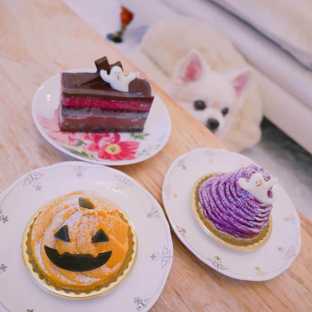 黒坂優香子さんのインスタグラム写真 - (黒坂優香子Instagram)「🎃 ・ ・ Happy Halloween👻🎃💜 ・ ・ #Halloween #sweets #KIHACHI」10月31日 11時03分 - yukakokurosaka0606
