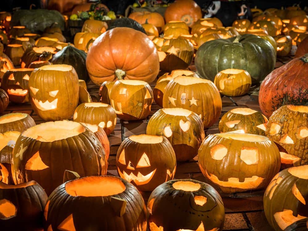 ざっくぅ 公式Instagramさんのインスタグラム写真 - (ざっくぅ 公式InstagramInstagram)「Happy Halloween 🎃 3匹のざっくぅがジャック・オー・ランタンでかくれんぼ。 見つけられるかな〜🔎 ・ ざっくぅ公式サイトでも掲載中❗ 正解は11月7日に公式サイトで発表します♪ https://zaq.jp/post/kakurenbo1910 ・ #10月31日 #イベント #ハロウィン #ハロウィーン #ハッピーハロウィン #🎃 #かくれんぼ #見つけられるかな #難しい #どこにいるの #かぼちゃ #カボチャ #ランタン #ジャックオランタン #halloween #happyhalloween #ざっくぅ #ざっくぅ大好き #ざっくぅ写真部 #jcom」10月31日 11時00分 - zaq_official