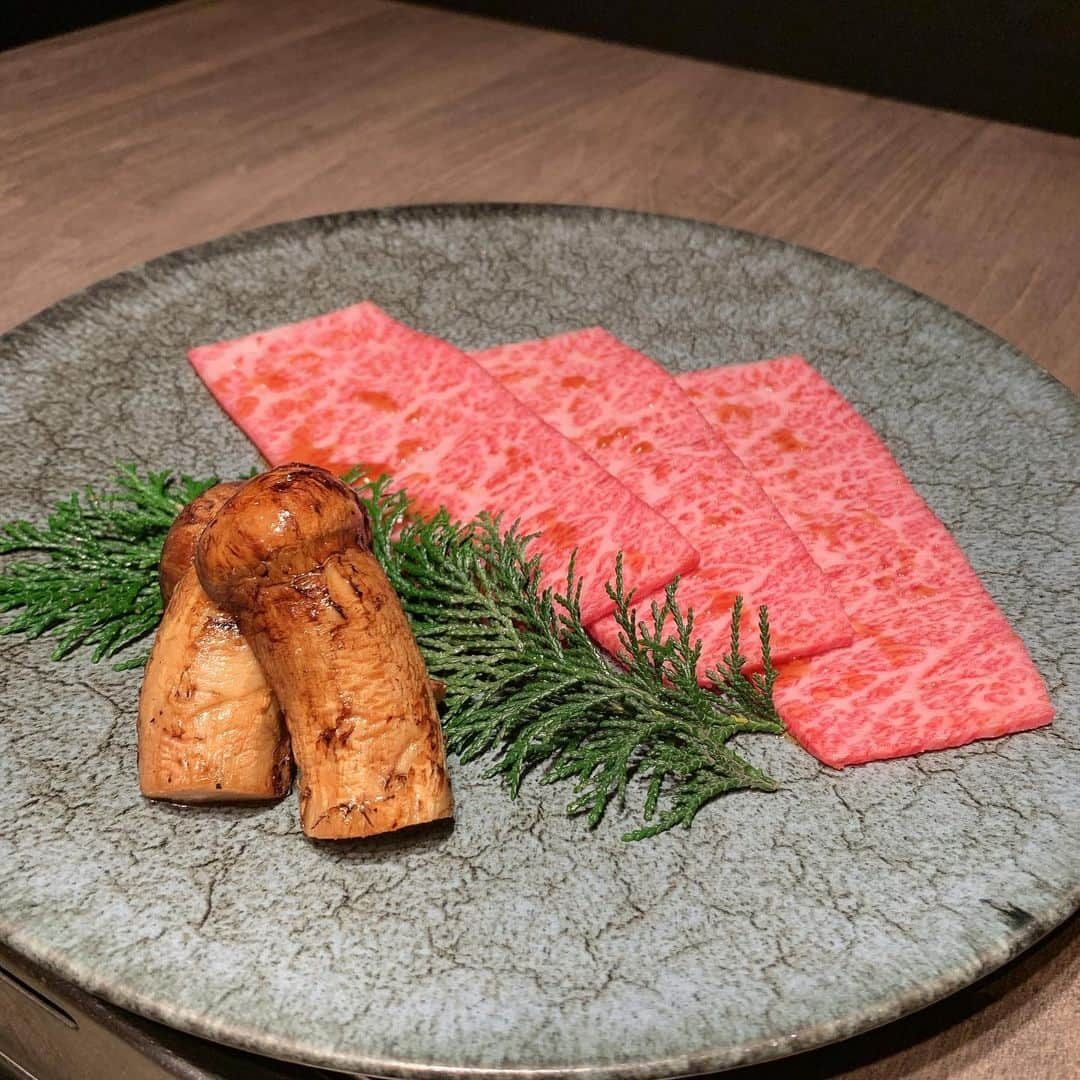 吉川ちかさんのインスタグラム写真 - (吉川ちかInstagram)「🔸おすすめ焼肉🔸 うしごろS銀座 . 住所 東京都中央区銀座7-7-7 GINZA777 ADC BUILDING 6F . 営業時間 17:00～24:00 日曜営業 日曜営業 . 予約・お問い合わせ	050-5595-6375 . ちょっとリッチな焼き肉を 食べたい方にはお勧め🥺💓 銀座にあるうしごろS . 完全個室ですごく綺麗だし とにかくお肉がうまい 一つ一つにこだわりがある🥺💓 . 今回は22000円の コースにしました！ 誕生日や記念日の時などにも 使えるので是非👍✨ . #うしごろs #焼き肉#激うま#色テロ#ディナー#おいしかった #誕生日#お祝い#銀座#お肉#焼肉」10月31日 3時39分 - yoshikawachika_1116