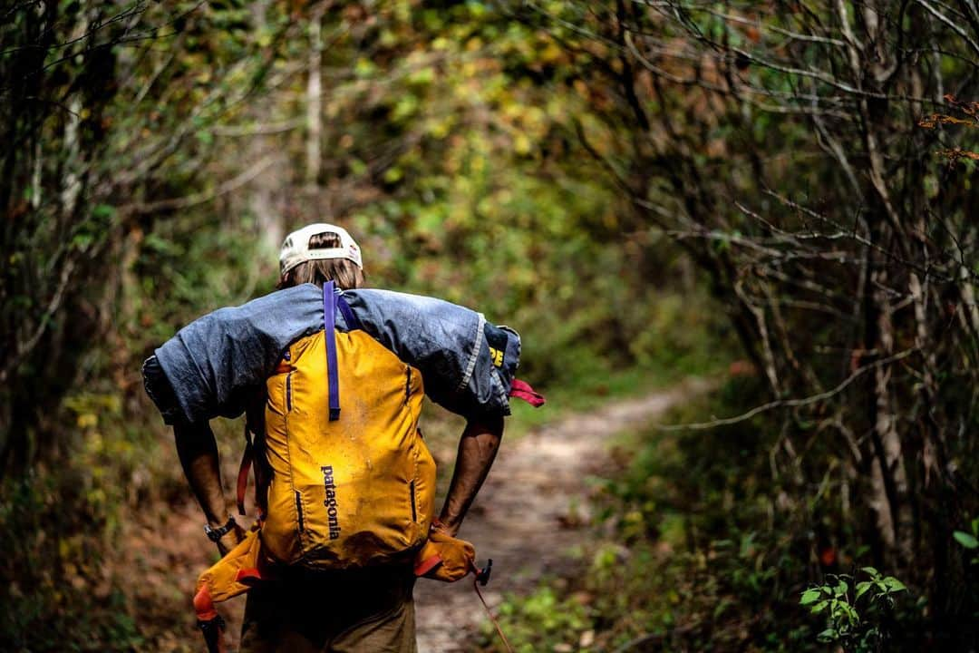 アレックス・メゴスさんのインスタグラム写真 - (アレックス・メゴスInstagram)「My time at the Red River Gorge has already come to an end! I guess time flies by when you are having fun.  Yesterday (on my last day in the Red) I went to check out yet another project at the "Zoo". I saw this project to the right of "Zookeeper" in the guide book and it looked appealing on the picture. After checking in with @drumack5 I went to see if it's possible and worth trying. 2 hours and 3 tries later I found myself clipping the chains of this rather short and powerful little climb! I'm not sure if it's got a proper name, but if not I'd suggest "Zoolander". The grade is probably around 5.14d (9a). Happy to hear what repeaters think!  Thanks @cameron_horst11 for the past few days and for the belays! See ya soon buddy.  @patagonia_climb @redbullgermany @goretexeu @tenayaclimbing @sterlingrope @cafekraft_nuernberg @dmm_wales @frictionlabs @fazabrushes #stylefirst #carrotsforpower  Pic @dialogue4peace」10月31日 5時57分 - alexandermegos