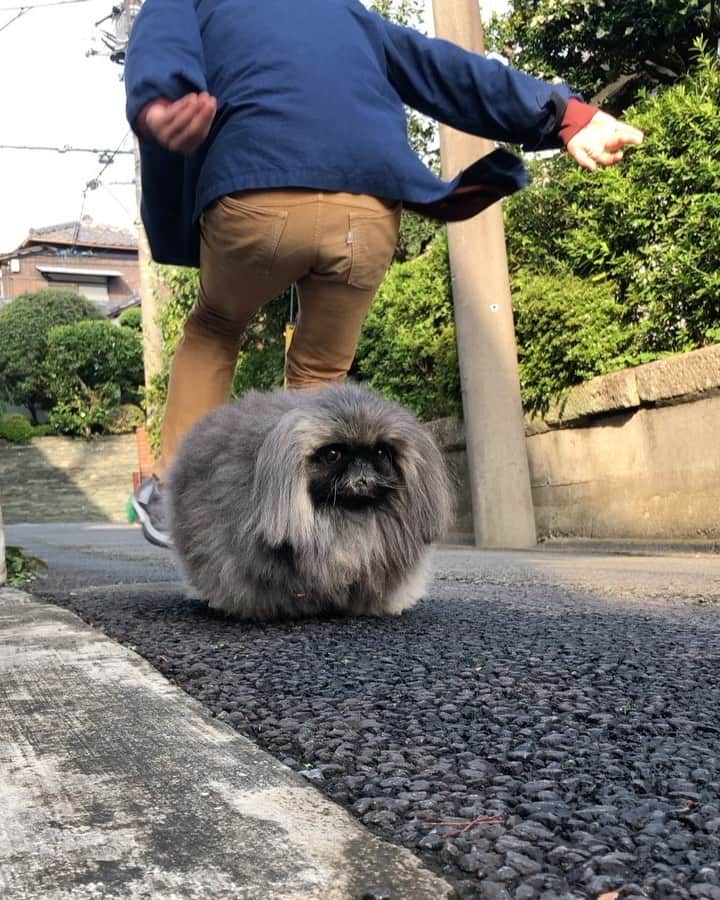 宮田和弥のインスタグラム