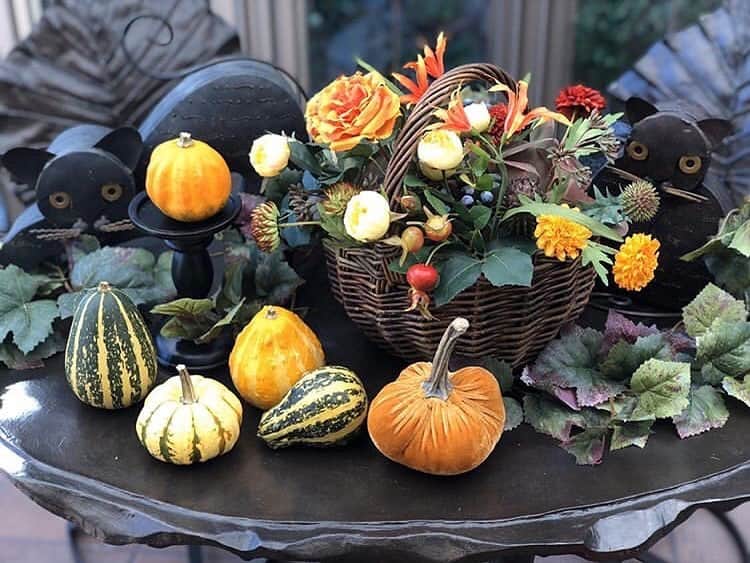 東京堂アーティフィシャルフラワーMAGIQのインスタグラム：「🎃MAGIQ キャンペーン🎃 【ハロウィンキャンペーン】 💫💫💫💫💫💫💫💫💫💫💫💫 👑【入賞】発表❗️👑 ✳️💫Congratulations🏆💫✳️ 🎊おめでとうございます🎉🎊 ・ Photo by @shima_shima8888 👏👏👏 ・ 💫💫💫💫💫💫💫💫💫💫💫💫 素敵な写真タグ付けして、キャンペーンに投稿していただきありがとうございます🙇 ・ 素敵な写真を共有させて頂きます♪ ・ これからも @magiq.jp  をよろしくお願いいたします。 ・ 🔸🔸🔸🔸🔸🔸🔸🔸🔸🔸🔸🔸 【ハロウィンキャンペーン ご参加頂きました皆様】 キャンペーンへのご参加頂き、 誠にありがとうございました🙇‍♂️ ・ 今後も、キャンペーンは続きますので次回キャンペーンも参加よろしくお願い致します🙇‍♂️ ・ #MAGIQ#MAGIQのある暮らし#TOKYODO#東京堂#アーティフィシャルフラワー#アーティフィシャル#フラワー#アートフラワー#造花#花のある暮らし#花のある生活 #花好きな人と繋がりたい#フラワーデザイン#フラワーアレンジメント#フラワーアレンジ#アレンジメント#キャンペーン#ハロウィン#ハロウィンアレンジ#halloween#halloweenarrangment#artificialflower#artificial」