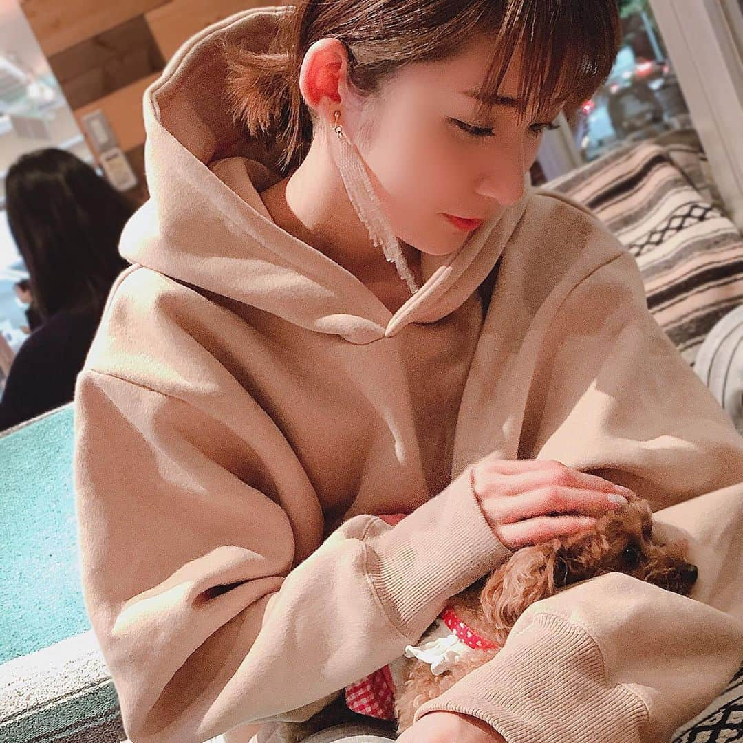 杉枝真結さんのインスタグラム写真 - (杉枝真結Instagram)「☺︎ まろちゃん。 すごーく久し振りに会えた🥺 - 今日は、まろとお揃いカラー！🐩💓 このトレーナー着てきてよかった✨✨✨ 一枚でポカポカだから、安心感に包まれる🤲 - 皆さん、素敵なハロウィンを🎃👻🧟‍♀️🧟‍♂️ - #裾ドローストリング裏起毛パーカー #ティティベイト #プチプラ #コーデ #titivate #titivatestyle #instafashion @titivatejp」10月31日 19時31分 - mayusugieda_official