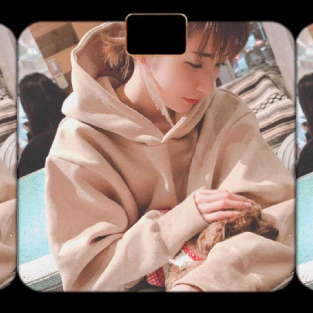 杉枝真結さんのインスタグラム写真 - (杉枝真結Instagram)「☺︎ まろちゃん。 すごーく久し振りに会えた🥺 - 今日は、まろとお揃いカラー！🐩💓 このトレーナー着てきてよかった✨✨✨ 一枚でポカポカだから、安心感に包まれる🤲 - 皆さん、素敵なハロウィンを🎃👻🧟‍♀️🧟‍♂️ - #裾ドローストリング裏起毛パーカー #ティティベイト #プチプラ #コーデ #titivate #titivatestyle #instafashion @titivatejp」10月31日 19時31分 - mayusugieda_official