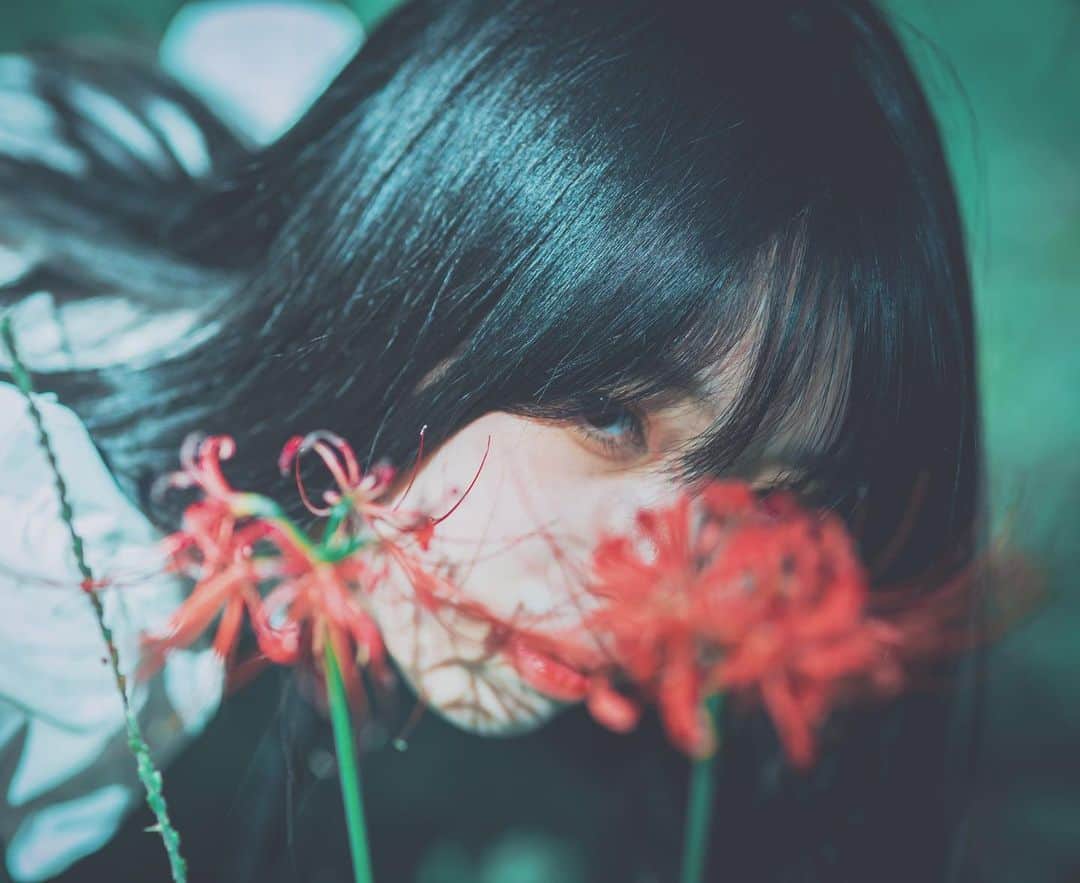 奥野香耶さんのインスタグラム写真 - (奥野香耶Instagram)「2019.10 photo(@tkhsmnr108 )  さようなら10月  ㅤㅤㅤㅤㅤㅤㅤㅤㅤㅤㅤㅤㅤㅤㅤㅤㅤㅤㅤ #黒髪 #彼岸花 #october #japan #flower #photography」10月31日 19時46分 - _kayarea_