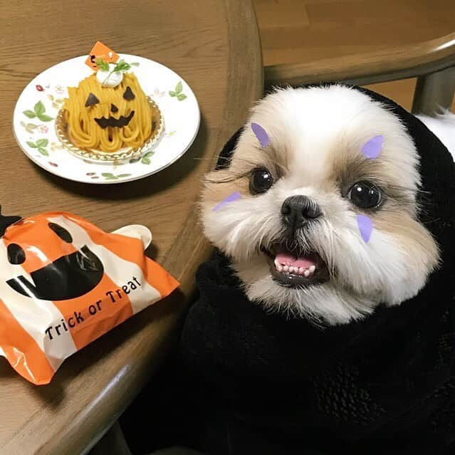 りんくさんのインスタグラム写真 - (りんくInstagram)「Happy Halloween! 👻🎃✨ ・ はっぴーはろうぃん😈🦇🕸 ママさん…これ何か違うような気がしまつ🤔🙄😂 ・ #地味ハロウィン」10月31日 19時49分 - link.jpn