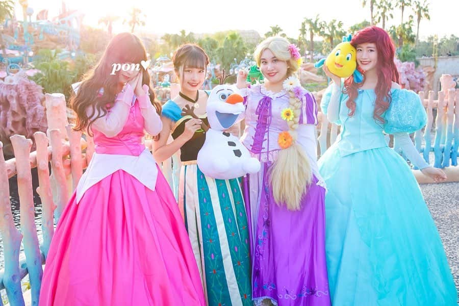 アリエル グリーティングドレス Dハロ Dハロ アリエル