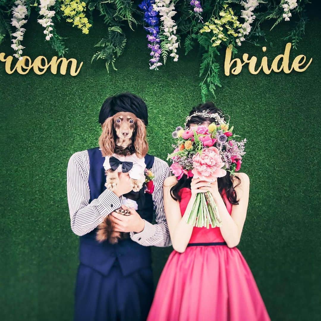 TAKE and GIVE NEEDS(T&G公式) のグルメインスタ