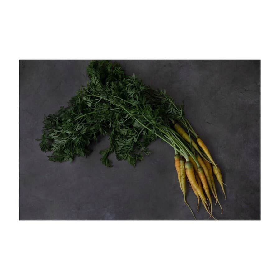 ellecafejapanのグルメインスタ