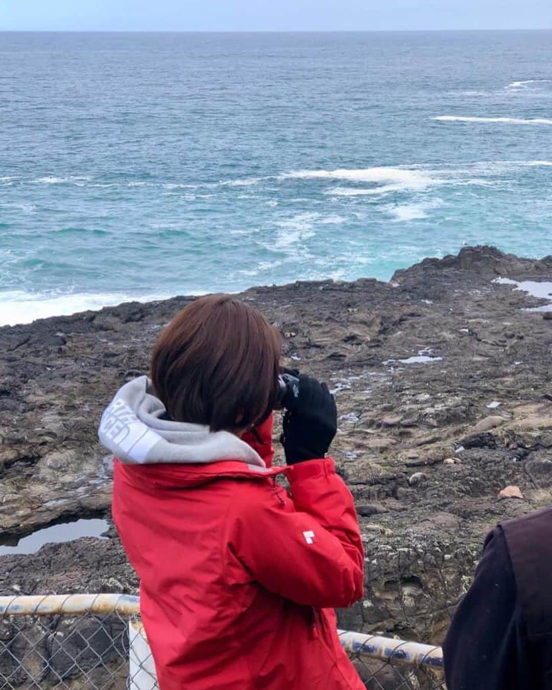 朝日放送「朝だ！生です旅サラダ」さんのインスタグラム写真 - (朝日放送「朝だ！生です旅サラダ」Instagram)「@maipu0125  ダニーデンから車でおよそ30分。豊かな自然が残る #オタゴ半島 で野生動物を直近で観察できるツアーに参加しました✨まずは、#アザラシ ！！丸々としたフォルムが何とも可愛らしいです😭今は繁殖期だそうでお腹が大きいお母さんアザラシや小さい子供アザラシも沢山いました🥺✨岩と同化して中々見つけにくいのですが、ぜひ探してみてください❣️ _ #大自然 #野生動物 #どこにいるかな ？ #見つけた ！ #OtagoPeninsula #エルムワイルドライフツアーズ #ElmWildlifeTours #ダニーデン #Dunedin #ニュージーランド #newZealand _ #ABCテレビ #朝日放送テレビ #朝だ生です旅サラダ #旅サラダ #旅サラダガールズ  #渡辺舞 #女優 #モデル  #生放送 #土曜 #朝8時 #海外 #旅 #travel #trip」10月31日 12時13分 - tabisalad